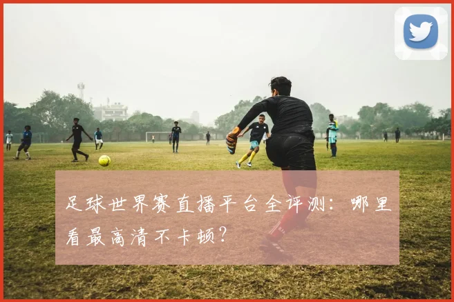 足球世界赛直播平台全评测：哪里看最高清不卡顿？