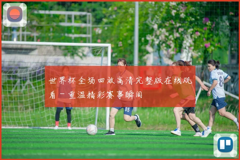 世界杯全场回放高清完整版在线观看 - 重温精彩赛事瞬间